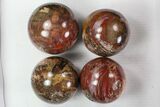 Lot: Petrified Wood Spheres - - Madagascar #77959-1